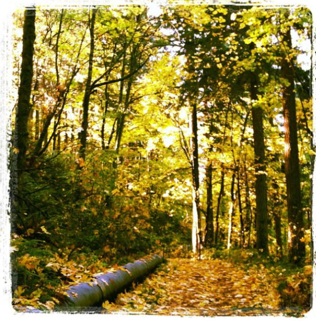 Photo Jun 02, 9 31 35 PM