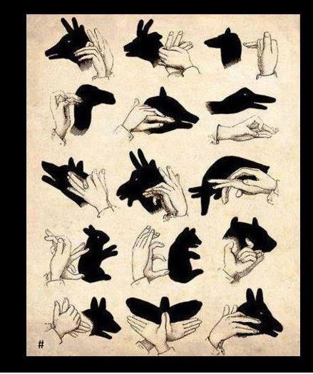 Shadow-puppets-with-hands