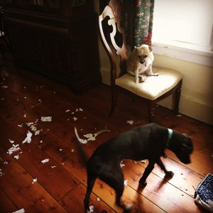 photo-oct-01-5-27-26-pm